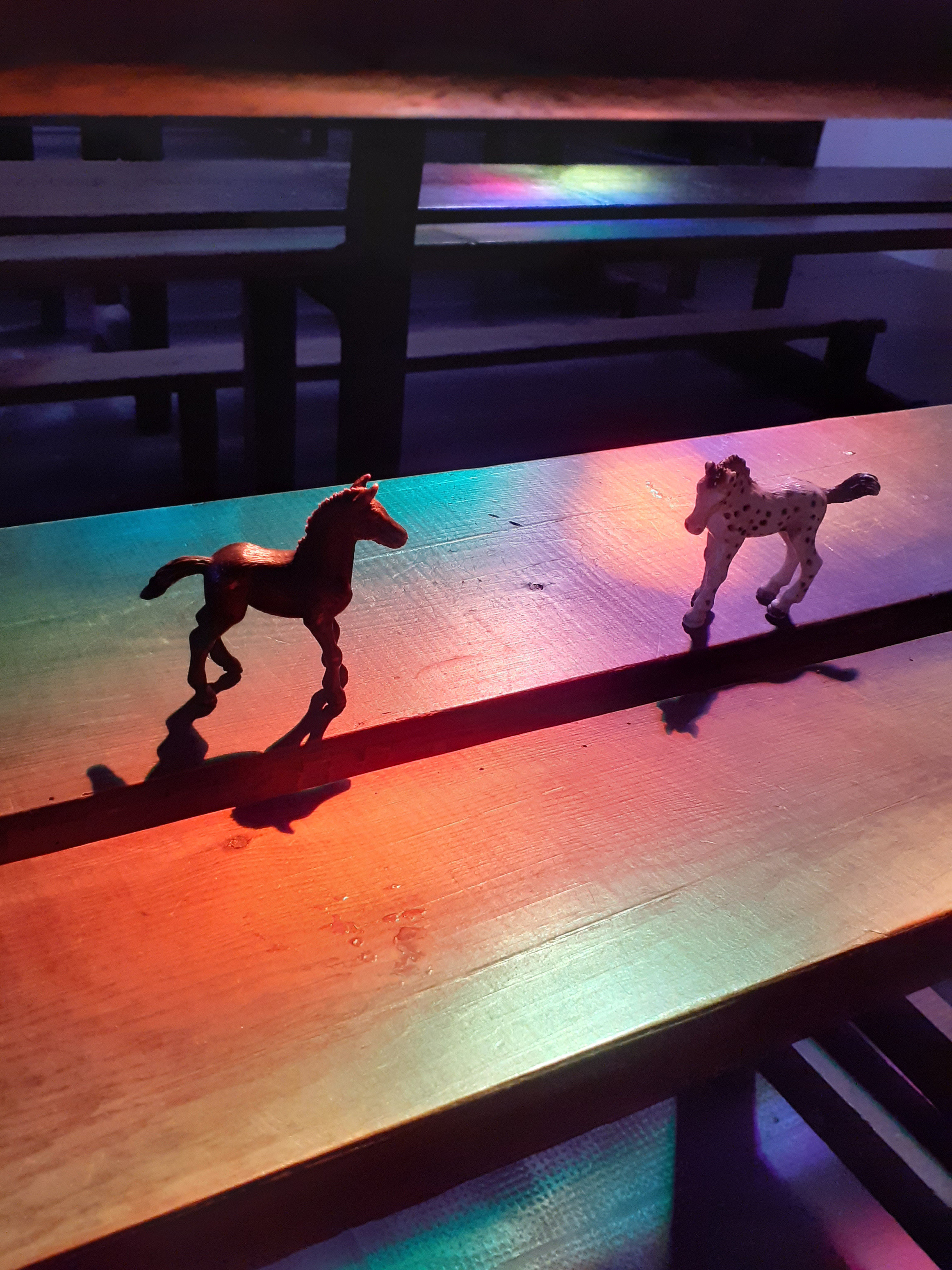 laver les ombres spectacle